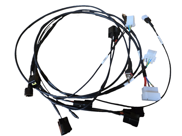 RSR module premium plug & play harness